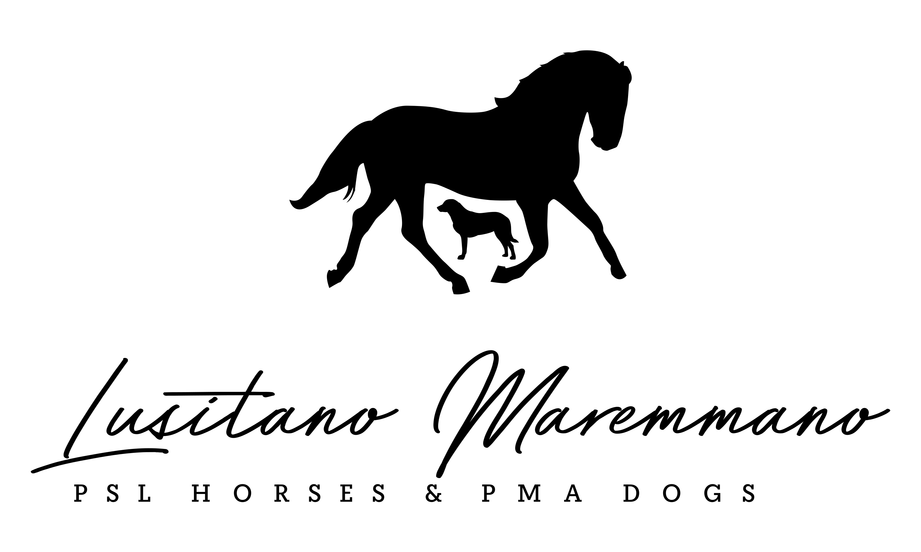 Lusitano-Maremmano